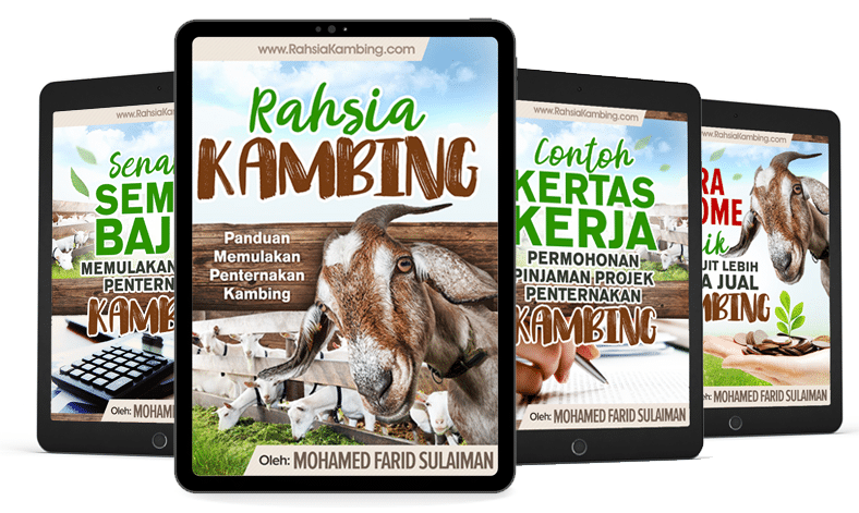 ebook ternak kambing - panduan memulakan penternakan kambing